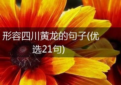 形容四川黄龙的句子(优选21句)