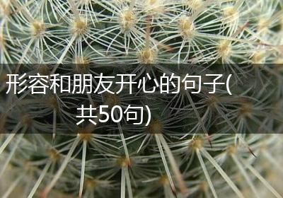 形容和朋友开心的句子(共50句)