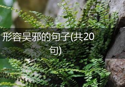形容吴邪的句子(共20句)