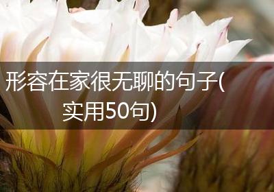 形容在家很无聊的句子(实用50句)
