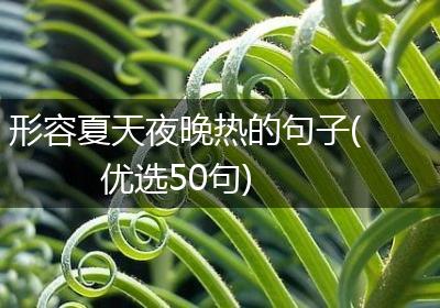 形容夏天夜晚热的句子(优选50句)