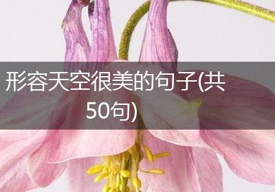 形容天空很美的句子(共50句)