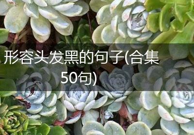 形容头发黑的句子(合集50句)