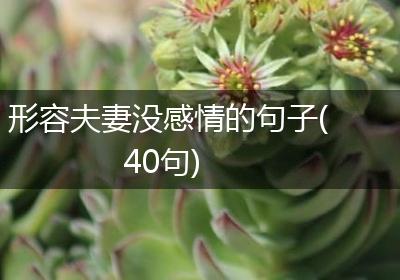 形容夫妻没感情的句子(40句)