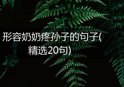 形容奶奶疼孙子的句子(精选20句)