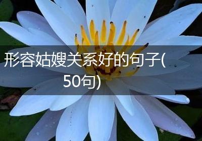 形容姑嫂关系好的句子(50句)