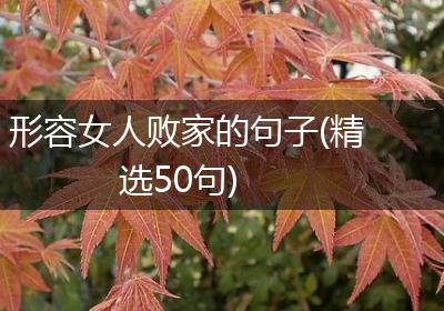 形容女人败家的句子(精选50句)