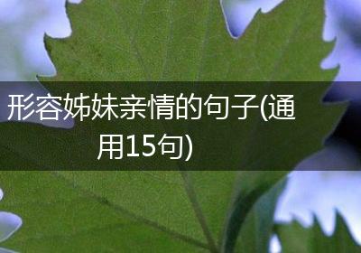 形容姊妹亲情的句子(通用15句)