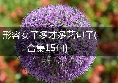 形容女子多才多艺句子(合集15句)