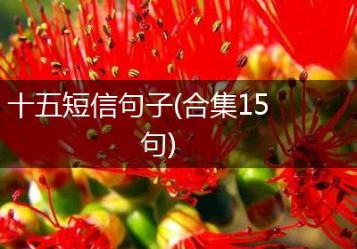 十五短信句子(合集15句)