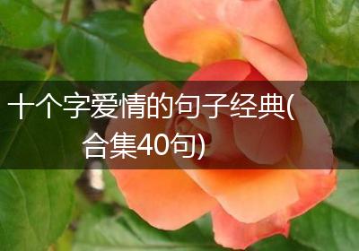 十个字爱情的句子经典(合集40句)