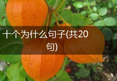 十个为什么句子(共20句)