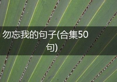 勿忘我的句子(合集50句)