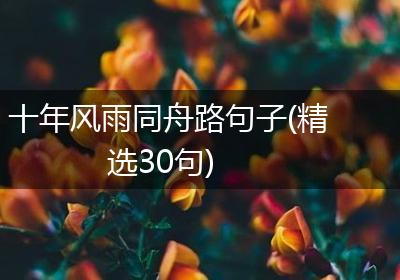 十年风雨同舟路句子(精选30句)