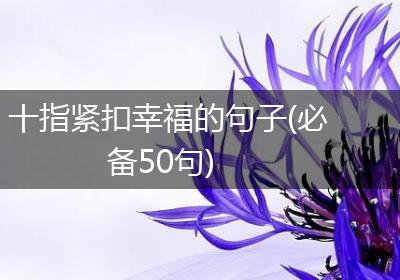 十指紧扣幸福的句子(必备50句)