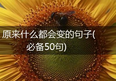 原来什么都会变的句子(必备50句)