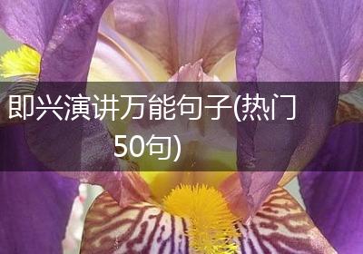 即兴演讲万能句子(热门50句)