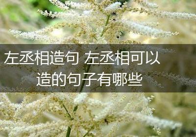 左丞相造句 左丞相可以造的句子有哪些