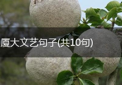 厦大文艺句子(共10句)