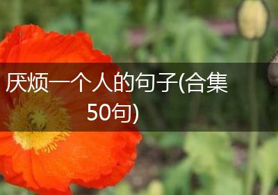 厌烦一个人的句子(合集50句)