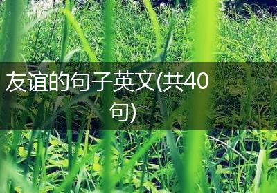 友谊的句子英文(共40句)