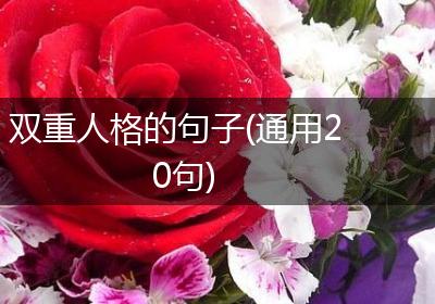 双重人格的句子(通用20句)