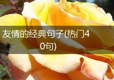 友情的经典句子(热门40句)