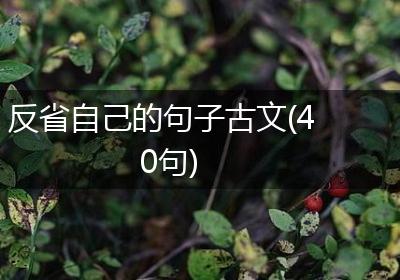 反省自己的句子古文(40句)