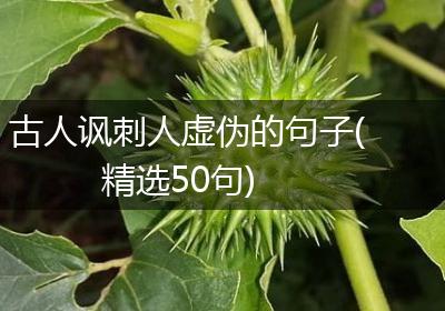 古人讽刺人虚伪的句子(精选50句)