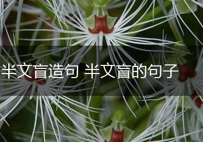 半文盲造句 半文盲的句子