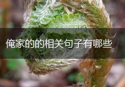 俺家的的相关句子有哪些