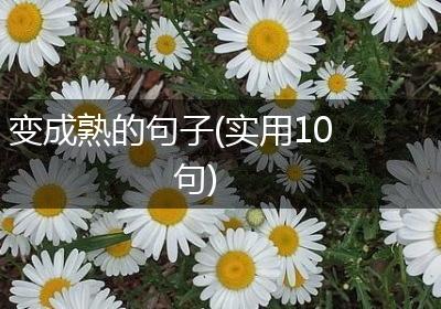 变成熟的句子(实用10句)