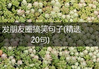 发朋友圈搞笑句子(精选20句)