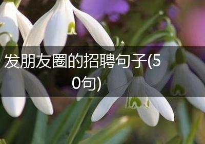 发朋友圈的招聘句子(50句)