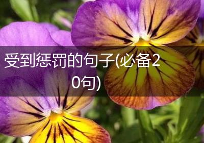 受到惩罚的句子(必备20句)