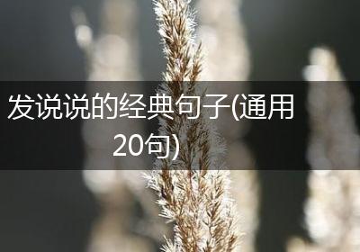 发说说的经典句子(通用20句)