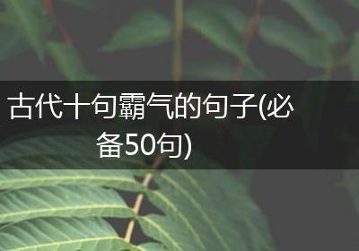 古代十句霸气的句子(必备50句)