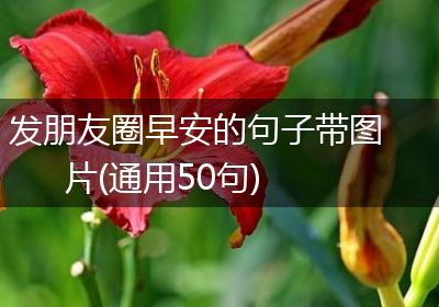 发朋友圈早安的句子带图片(通用50句)