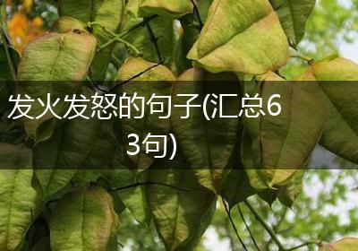 发火发怒的句子(汇总63句)