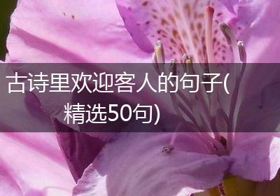 古诗里欢迎客人的句子(精选50句)