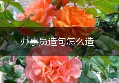 办事员造句怎么造