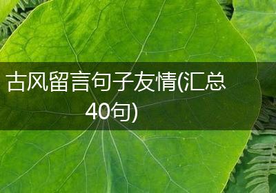 古风留言句子友情(汇总40句)