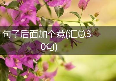 句子后面加个惹(汇总30句)