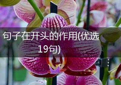 句子在开头的作用(优选19句)