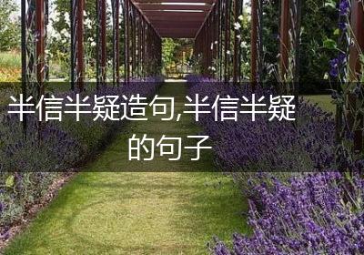 半信半疑造句,半信半疑的句子