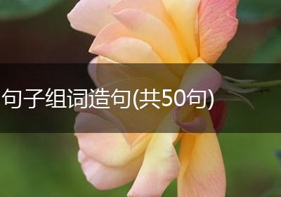句子组词造句(共50句)