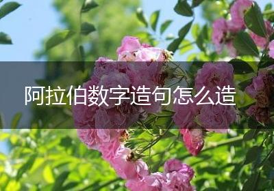 阿拉伯数字造句怎么造