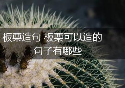 板栗造句 板栗可以造的句子有哪些