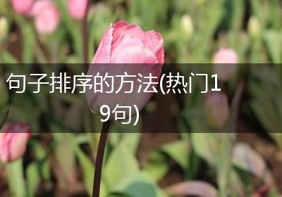 句子排序的方法(热门19句)