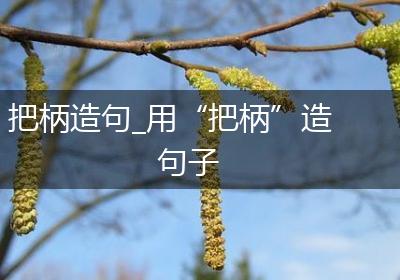 把柄造句_用“把柄”造句子